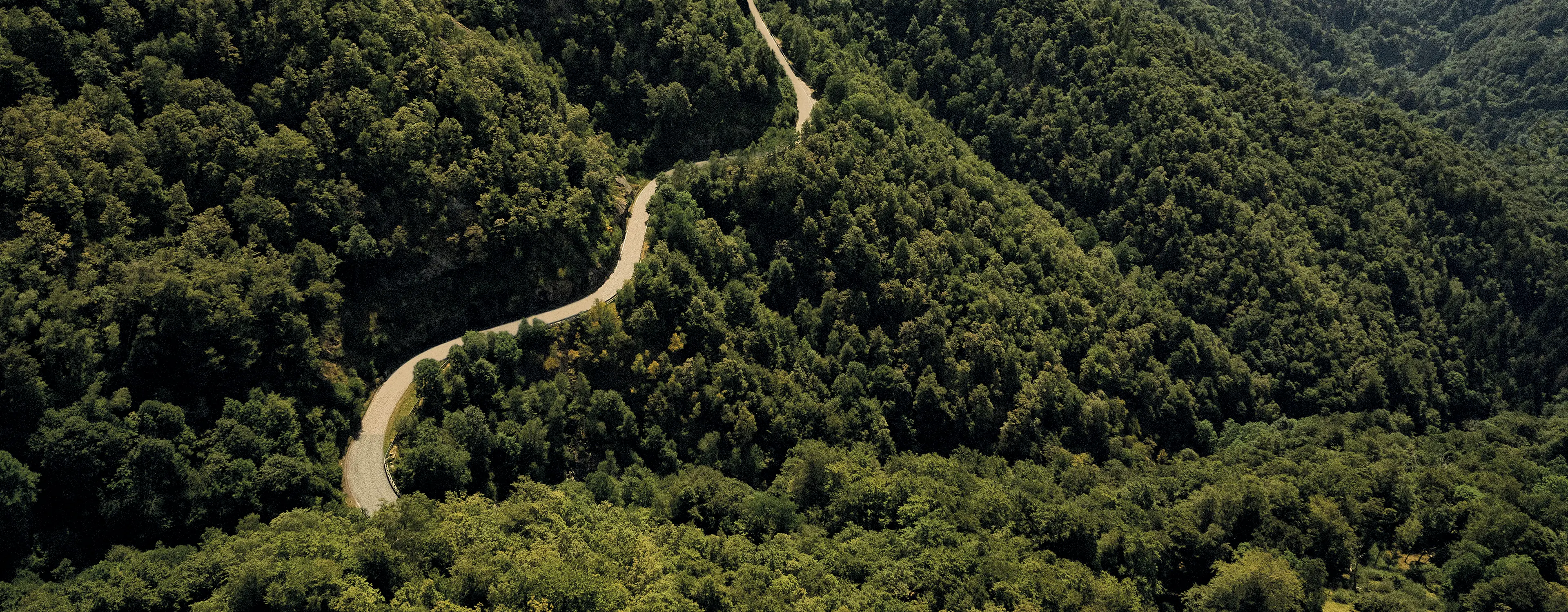 Landscape with green hills of Oasi Zegna in the Biellese Alps in Piedmont.